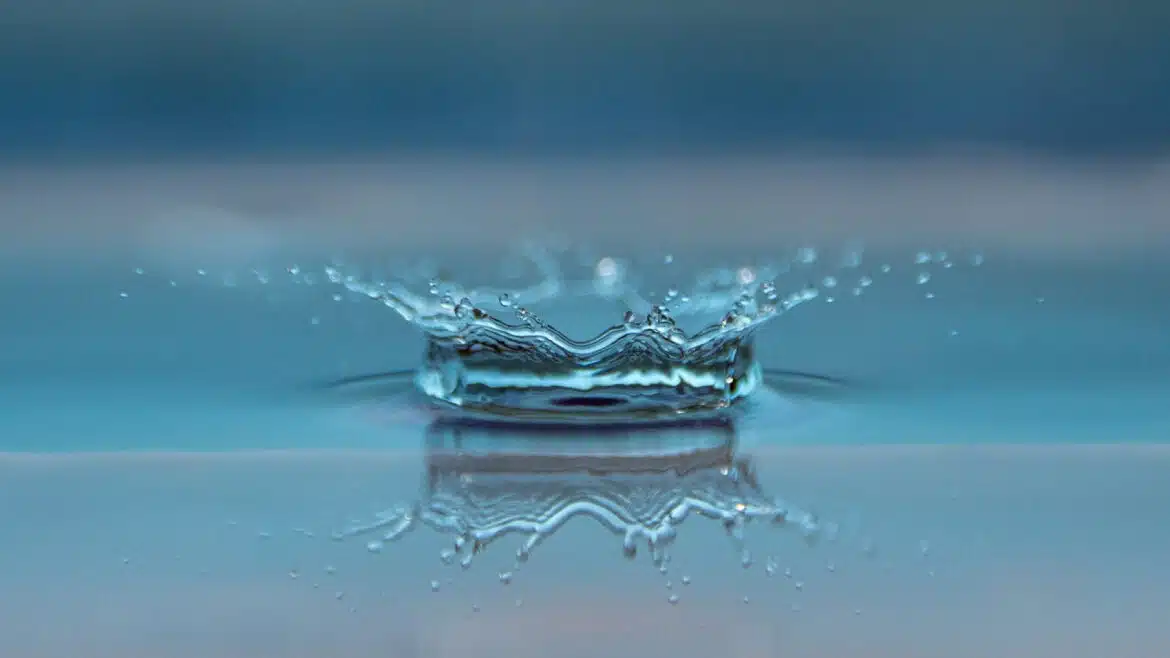 Industrie : L'importance du traitement des eaux usées