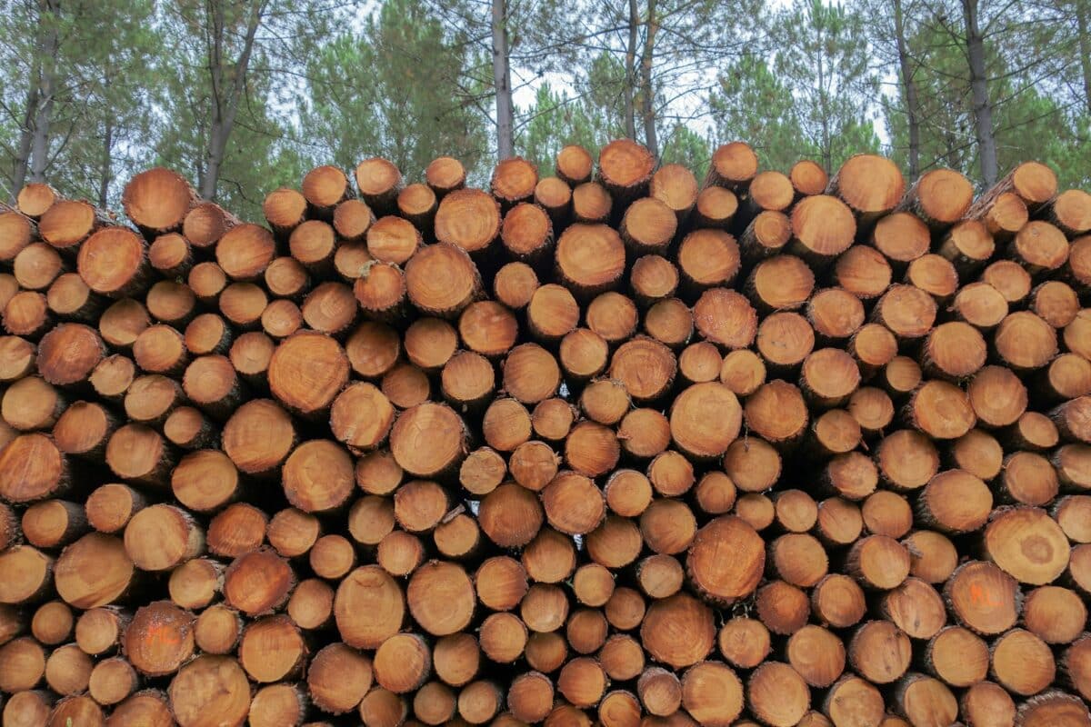 a pile of cut up wood